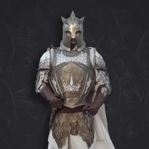 Game of Thrones - Kings Guard